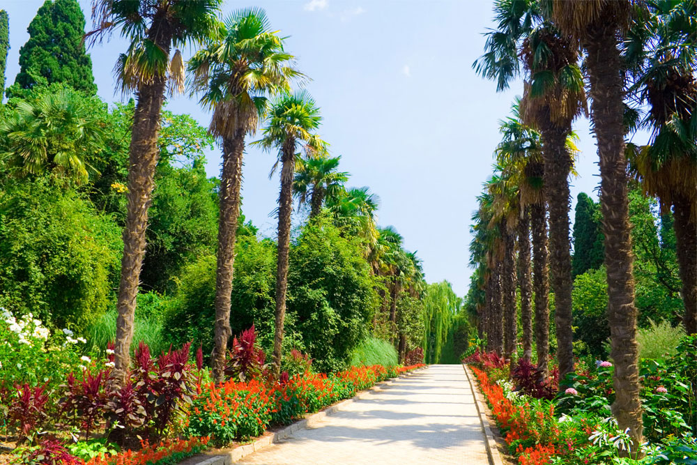 Никитский ботанический сад, экскурсии из Джемете в Анапе